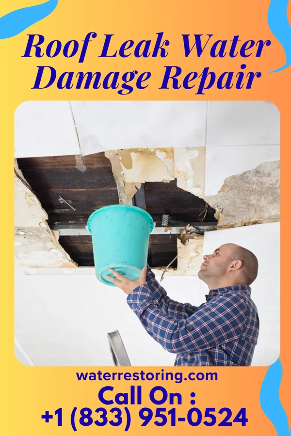 Roof Leak Water Damage Repair in Jacksonburg, OH
