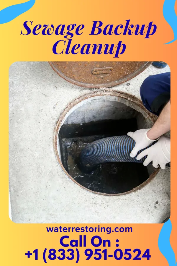 Sewage Backup Cleanup in Jacksonburg, OH