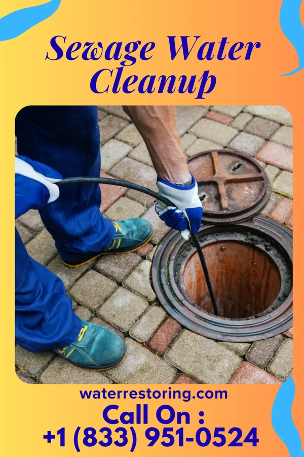 Sewage Water Cleanup in Jacksonburg, OH